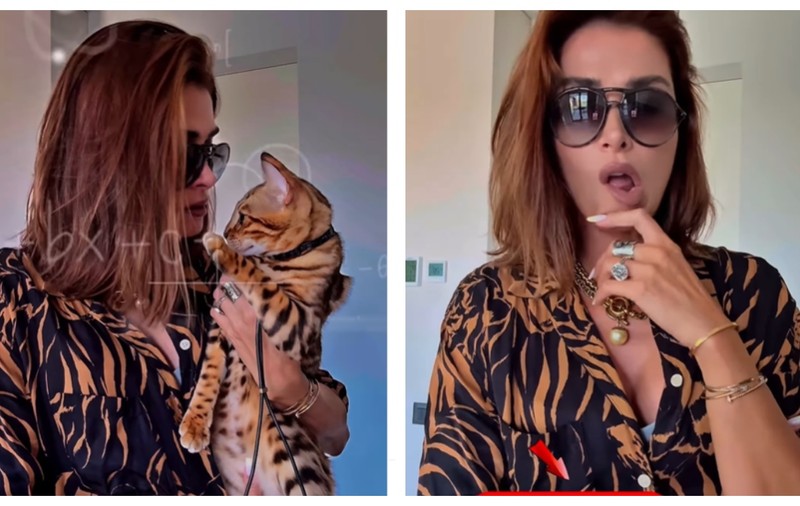 Cum l-a imitat Alina Pușcaș pe „Jaguarul” de la Insula Iubirii. Filmulețul care a adunat peste 1000 de like-uri într-un timp record