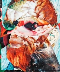 Arhiva foto