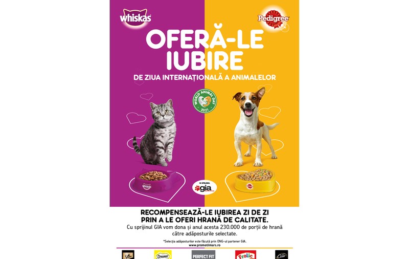 De Ziua Internațională a Animalelor, Pedigree sărbătorește alături de cățeii din adăposturi