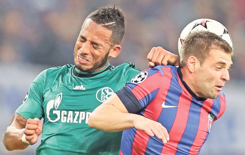 Steaua - Schalke | Învingeţi sau muriţi de ruşine