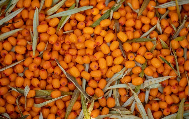 Suferi de deficit de vitamina A? Descoperă fructul care conține de 3 ori mai mult betacaroten decât morcovul!