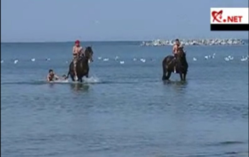 INCREDIBIL! Uite cum îşi spală caii în mare | VIDEO