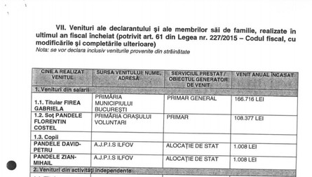 Declarația de avere a Gabrielei Firea. Sursa: PMB