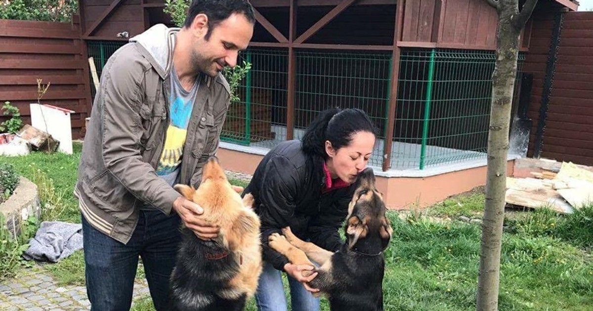 Delia Botea a fost manager de vânzări, dar acum salvează câini vagabonzi