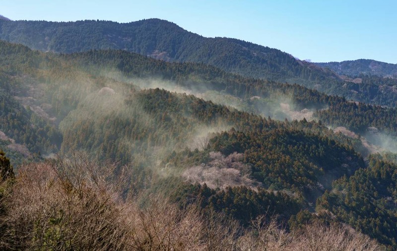 Japonia pierde 1.600.000.000 de dolari în fiecare zi pentru o greșeală banală din anii ’50. Ce este „norul” invizibil care a îmbolnăvit jumătate de țară