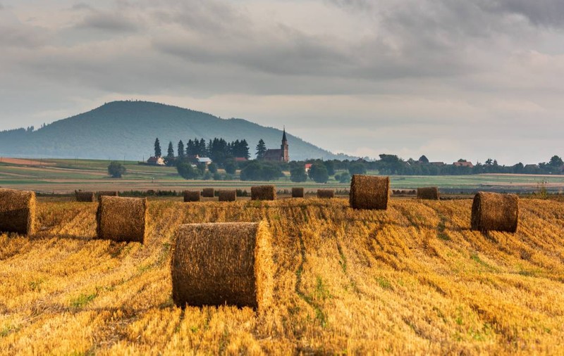 Cum va fi vremea în următoarele 4 săptămâni, în România. Meteorologii anunță temperaturi peste valorile normale în perioada 11 august - 7 septembrie