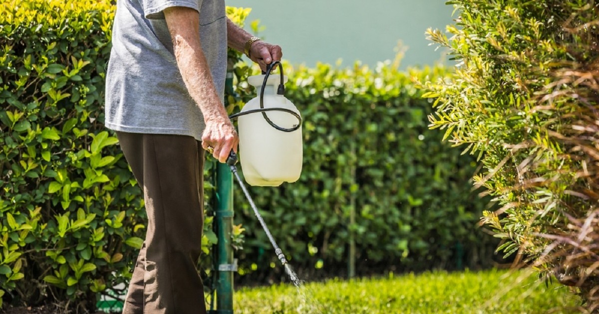 Ce sunt pesticidele- Un bărbat pulverizează erbicid pe iarbă din curtea casei