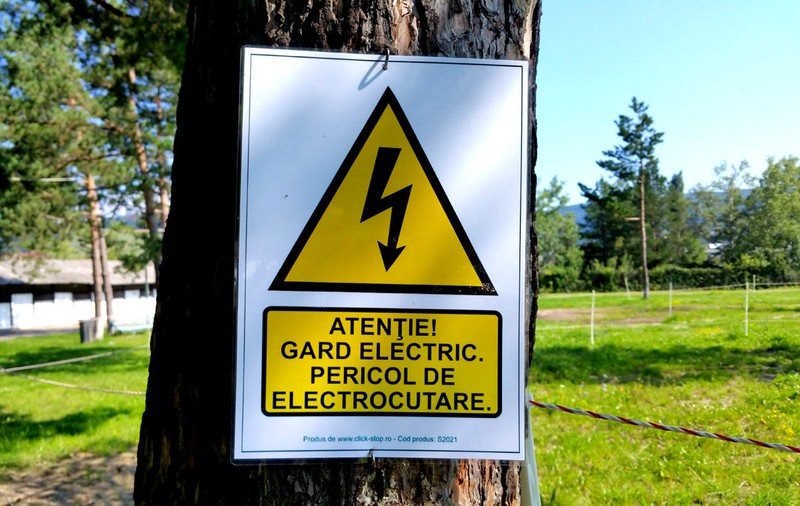 Garduri electrice pe A1, Sibiu - Orăștie, împotriva urșilor care pătrund pe carosabil