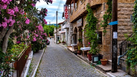 Arhiva foto