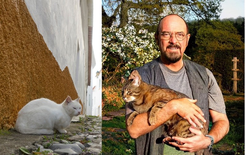 Ian Anderson, liderul Jethro Tull, se implică în salvarea pisicilor fără stăpân din Oradea: „Cele mai bune pisici” | VIDEO