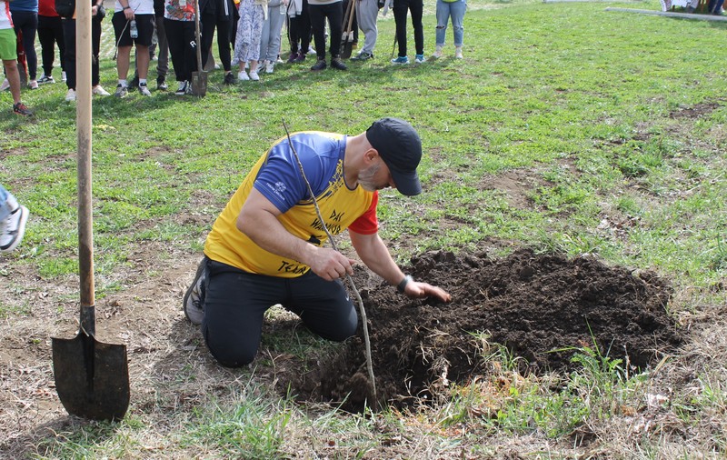 Patronul pensiunii Ferma Dacilor, pasibil de amendă pentru nucii plantați în memoria victimelor incendiului din decembrie