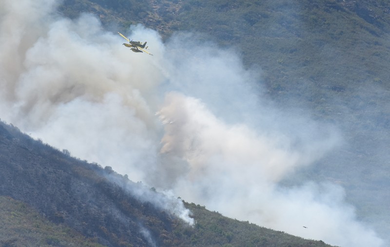 Incendiu uriaș de vegetație în vestul Spaniei. Peste 700 de săteni evacuați și mii de hectare distruse