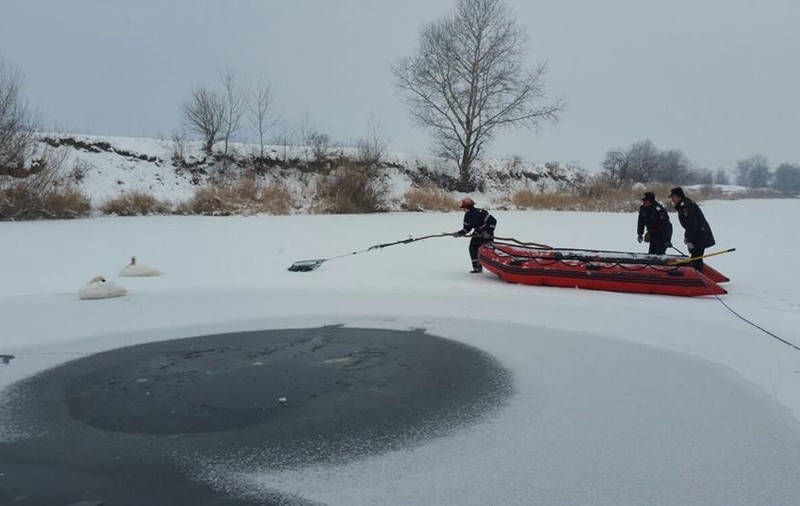 Misiune inedită pentru pompieri: Au salvat două lebede de pe un lac din Deva | FOTO ȘI VIDEO