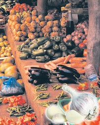 Arhiva foto