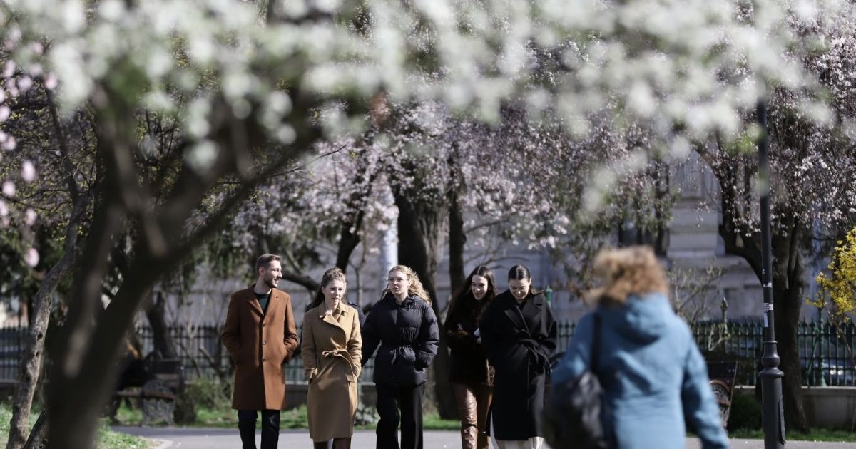Cinci tineri îmbrăcați cu geci și paltoane merg pe o alee din parcul Cișmigiu din București, în fațalor sunt doi porumbei, iar în jur se văd copaci înfloriți