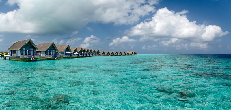 Insula Cocoa, Maldive