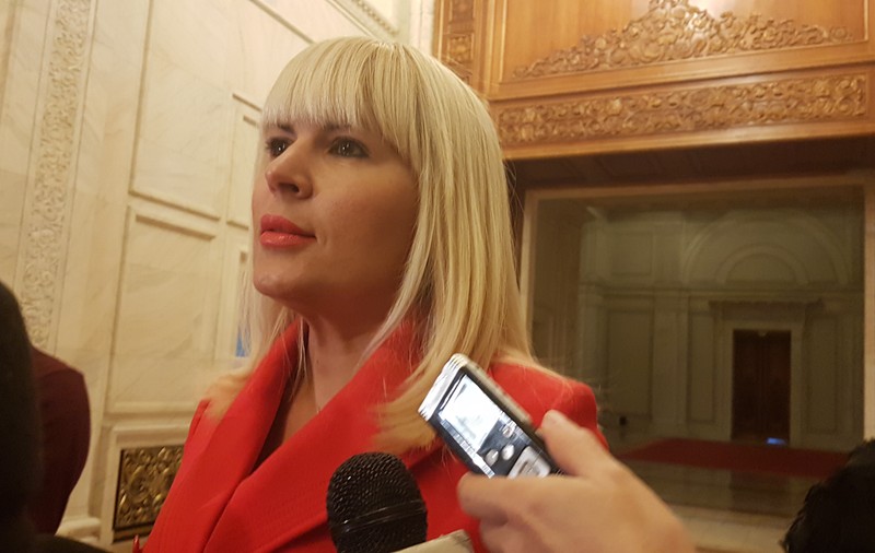 Udrea, dezvăluiri în Parlament: 2009 a fost începutul creării statului paralel; Despre Coldea: Se îmbrăca în Vuiton (VIDEO)