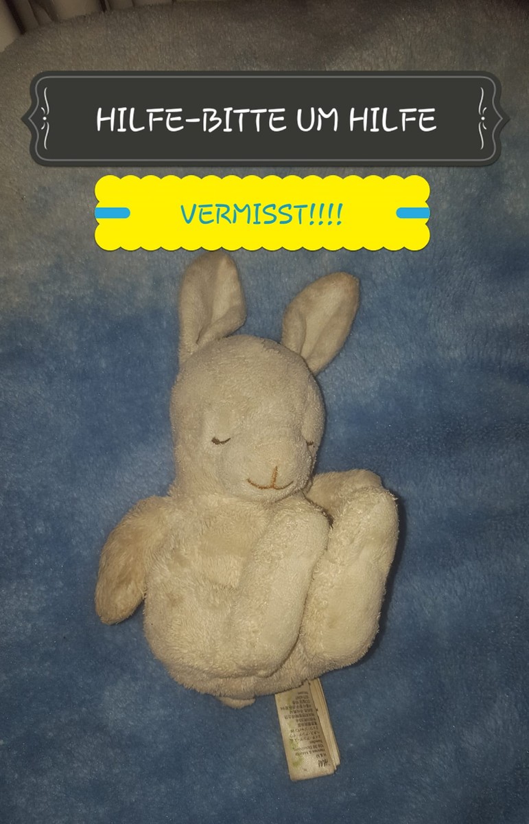 Afișele cu Hasi au fost distribuite prin oraș
