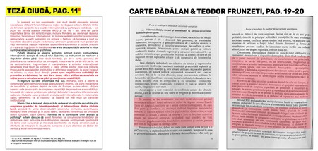 Transcrieri din tezele de doctorat în care se regăsesc pasaje copiate. Jurnalista Emilia Șercan le-a transcris după ce le-a consultat la Biblioteca Națională, pentru că fotografierea sau fotocopierea din tezele de doctorat sunt interzise. Foto: PressOne