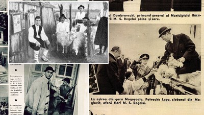 Petrache Lupu colaj copy