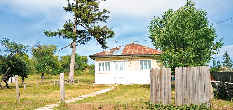 Arhiva foto