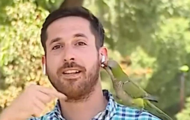 Un jurnalist chilian care relata în direct despre un jaf a fost „atacat” de un musafir nepoftit: „Mi-a furat casca, ați văzut?”