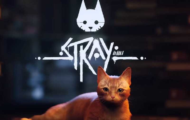 Jocurile PlayStation Plus gratuite pentru noiembrie 2025: Stray, aventura felină, pe primul loc