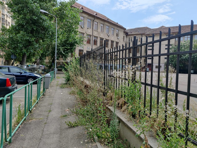 Buruienile au crescut pe lângă gardul Liceului Mihai Eminescu