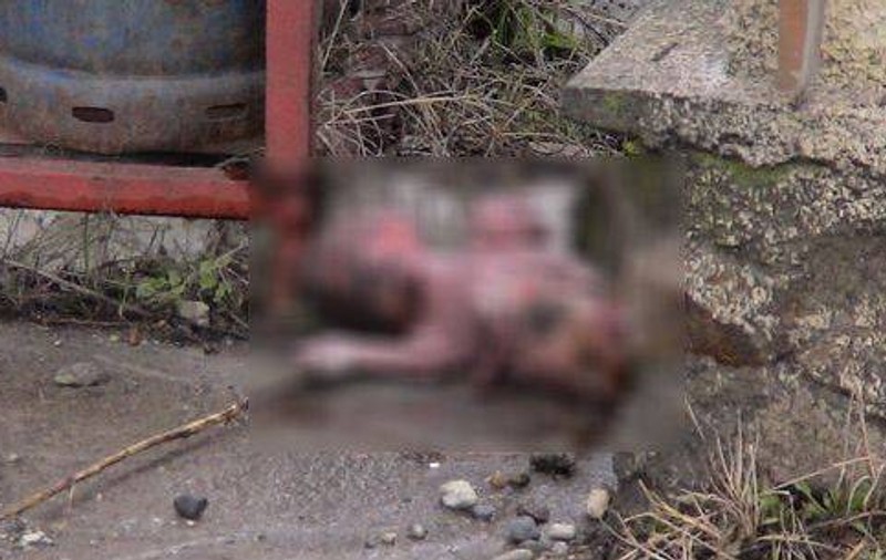 Cluj: Un nou-născut a fost găsit mort într-o pungă de către un om al străzii