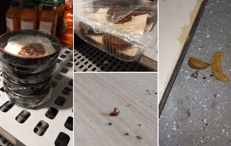 Gândaci, muște și mizerie în două restaurante cunoscute din Constanța. Protecția Consumatorului a dat amenzi și le-a închis