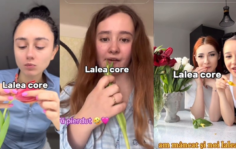 Tinere care mănâncă lalele, virale pe TikTok. Un medic român spune cât de periculoase sunt florile 
