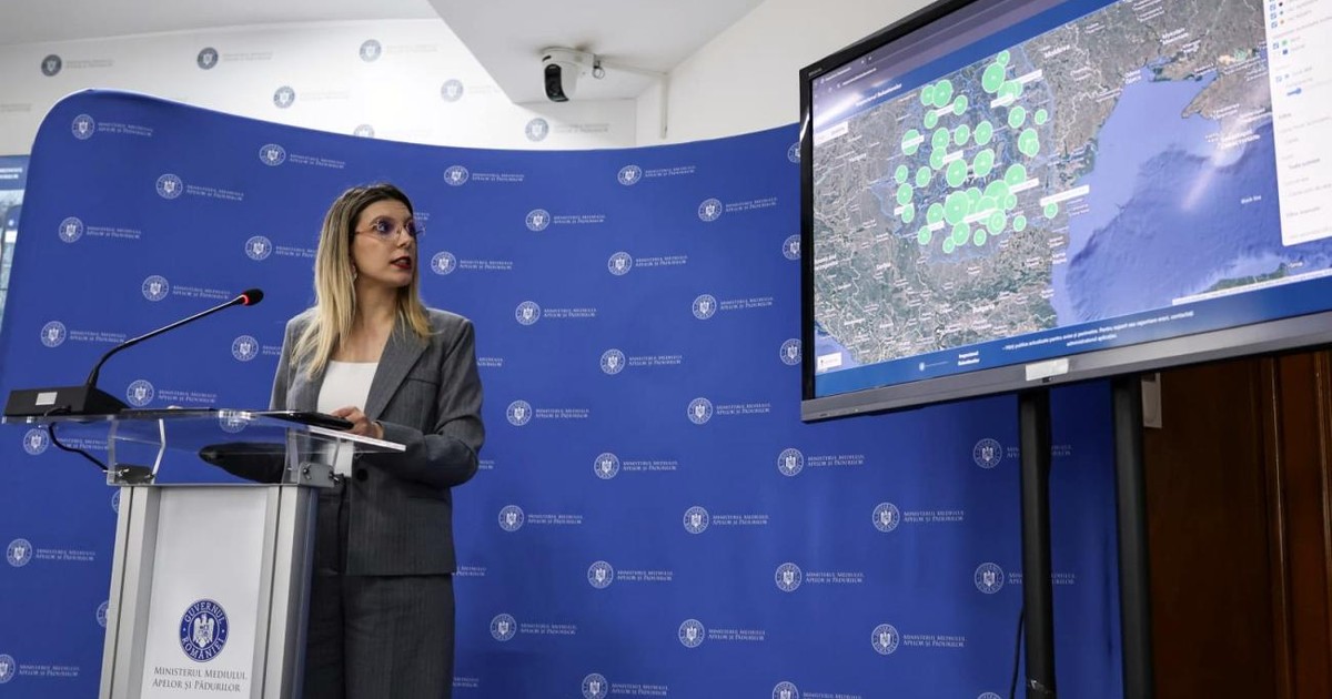 Ministrul Mediului, Diana Buzoianu, la conferința de presă