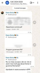 captură ecran Diana Stoica mesaj homofob
