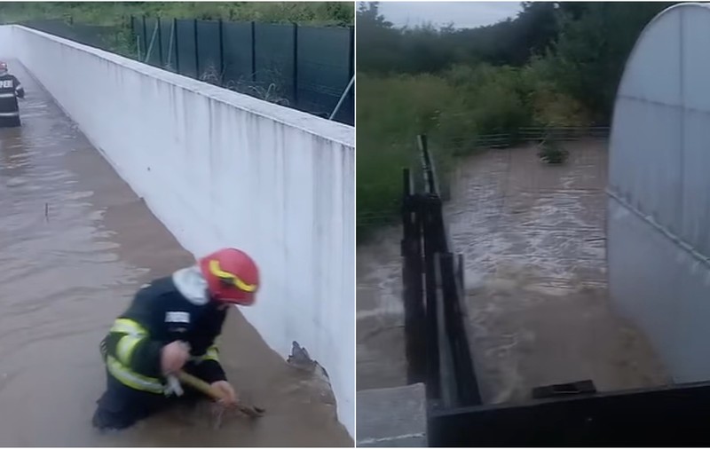 Inundațiile au făcut prăpăd în Prahova, în timpul codului roșu: casele și gospodăriile oamenilor, sub ape. Pompierii intervin în mai multe localități | VIDEO