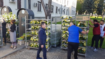Florile sunt descărcate din camion