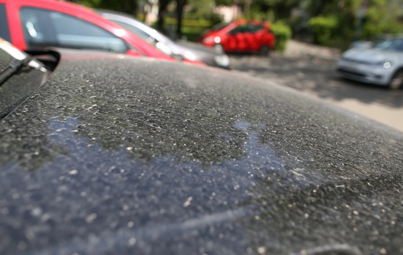 Cum se va deplasa masa de aer încărcată cu praf saharian din Europa în zona României. Anunțul ANM | Hartă