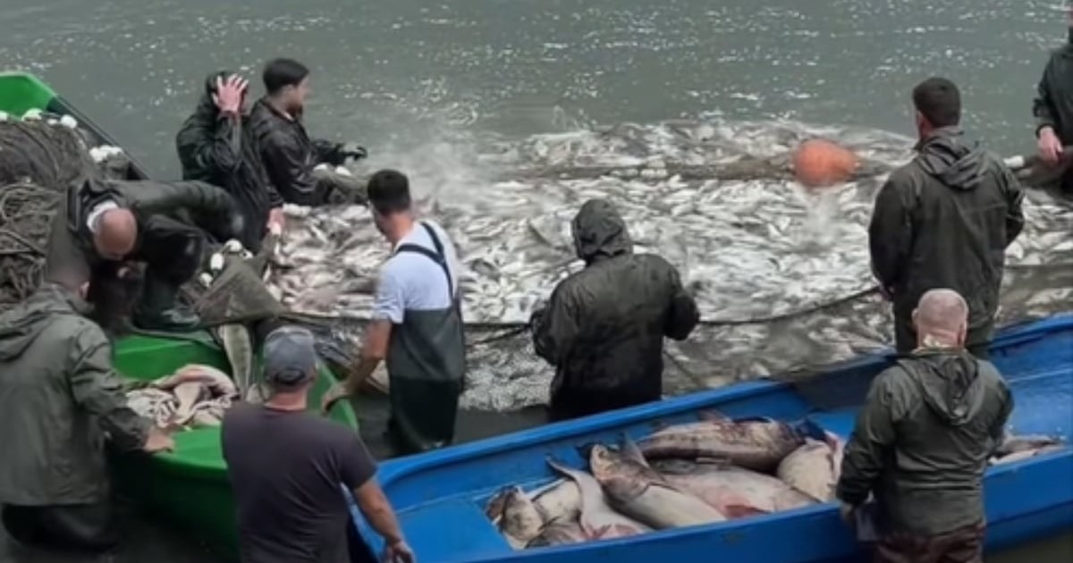 Bărbați care strâng pești din lac într-o plasă. Unii dintre aceștia poartă pelerine.