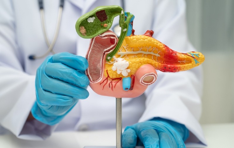 Ce este pancreasul și ce rol are în organism
