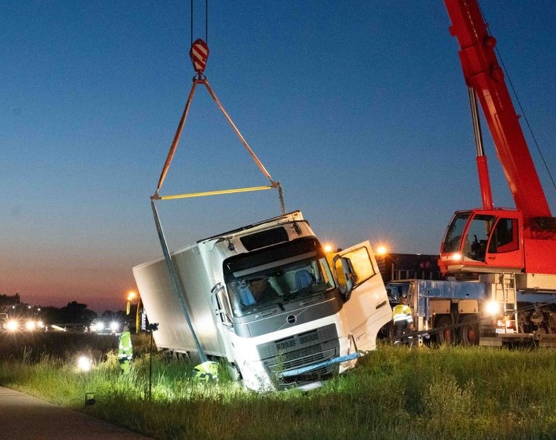 Șofer român de TIR scos de pe șosea de o turmă de căprioare, în Germania
