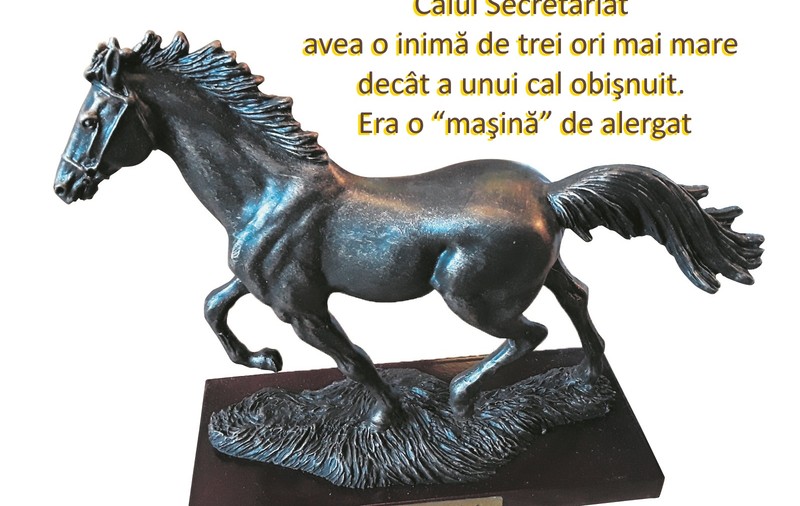 Calul Secretariat – cel mai impresionant cal de curse al tuturor timpurilor