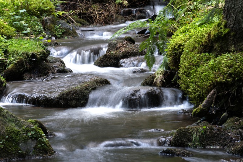 Propunerea legislativă prevede posibilitatea de modificare a limitelor ariilor naturale protejate pentru proiecte hidroenergetice. Foto: apă curgătoare din Munții Călimani | Agerpres