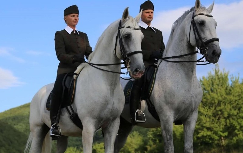 Regele Charles a primit doi cai cadou din Ungaria, dar la Budapesta a izbucnit un scandal diplomatic după ce i s-a cerut să-i înapoieze. Sursă foto: szilvásváradz.hu.