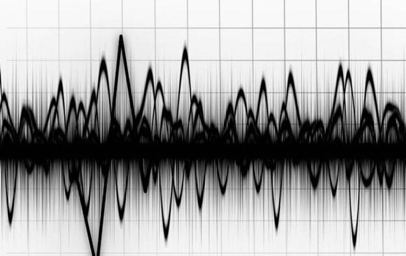 CUTREMUR ÎN VRANCEA! Află ce magnitudine a avut