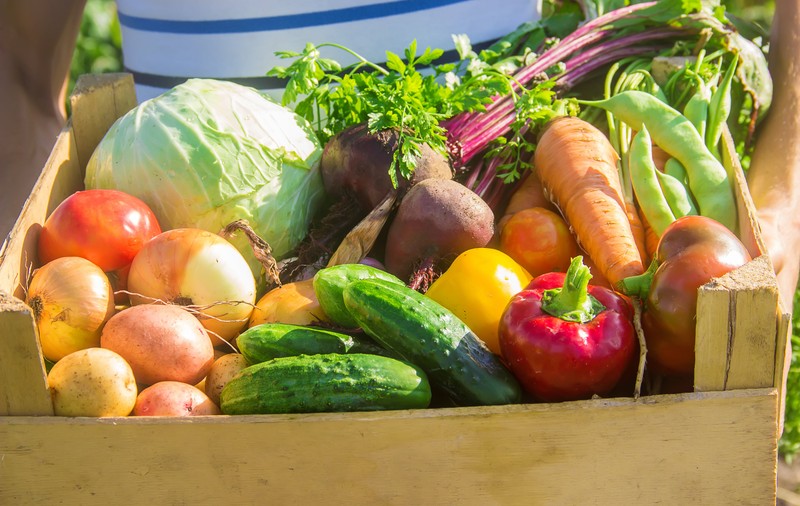 Zece legume minune pentru sănătate. Ar trebui să le mănânci zilnic