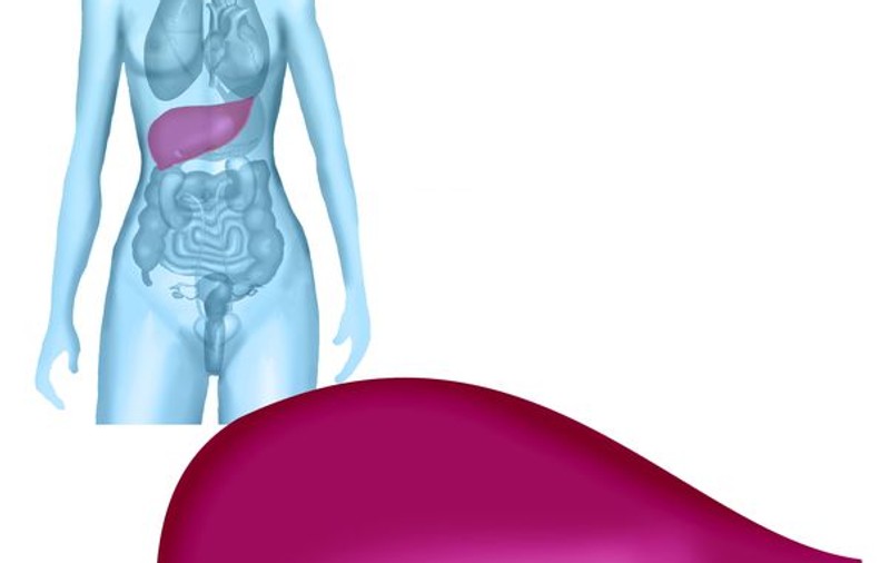 Cum se testează funcțiile hepatice