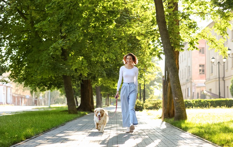 Un oraș din Italia introduce taxa turistică pentru câini: 1,5 euro pe zi începând din 2026, testul ADN obligatoriu dispare