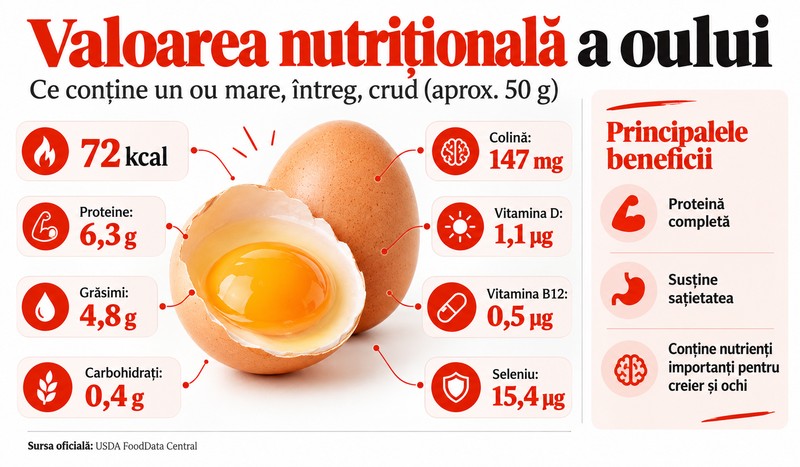 Ce conține un ou și care sunt cele trei beneficii majore pentru organism. Imagine realizată cu ajutorul Inteligenței Artificiale