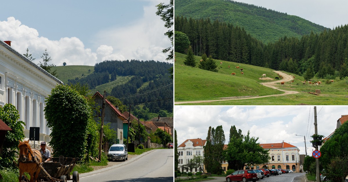 Arhiva foto