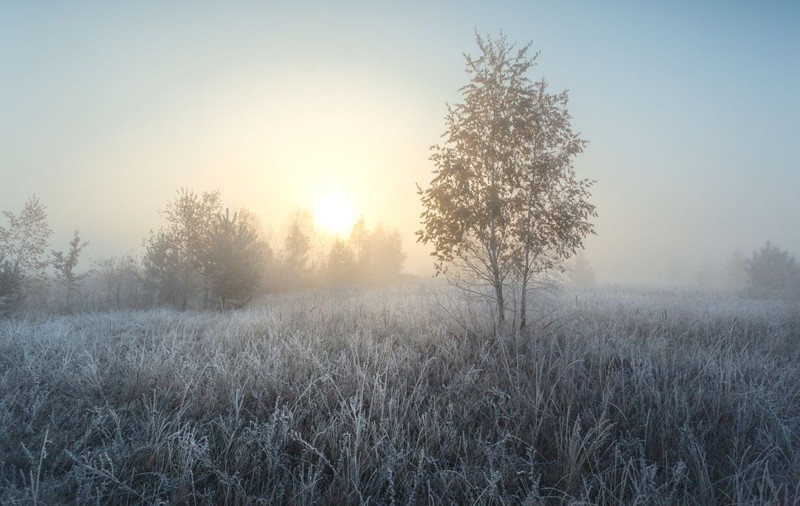 Cum va fi vremea mâine. Prognoza meteo pentru luni, 30 decembrie 2024