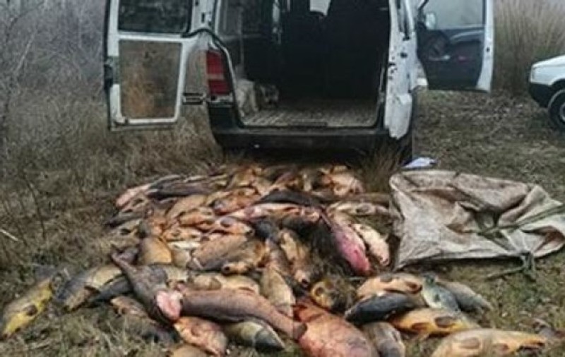 Doi români au furat două tone de pește, în Spania. Ce record au stabilit aceștia